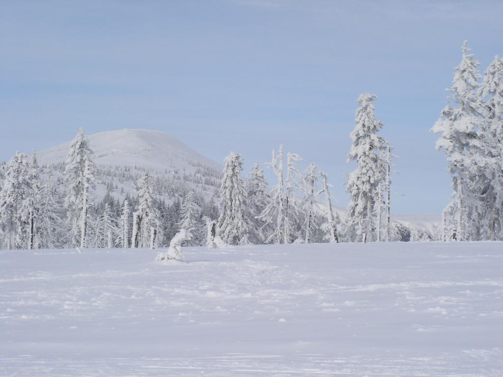 0227_24v95_1024x768.jpg