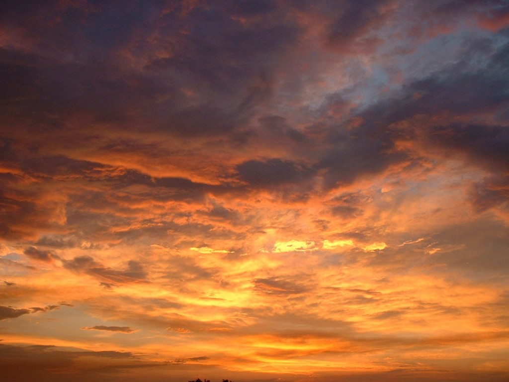 0356_vwecn_1024x768.jpg